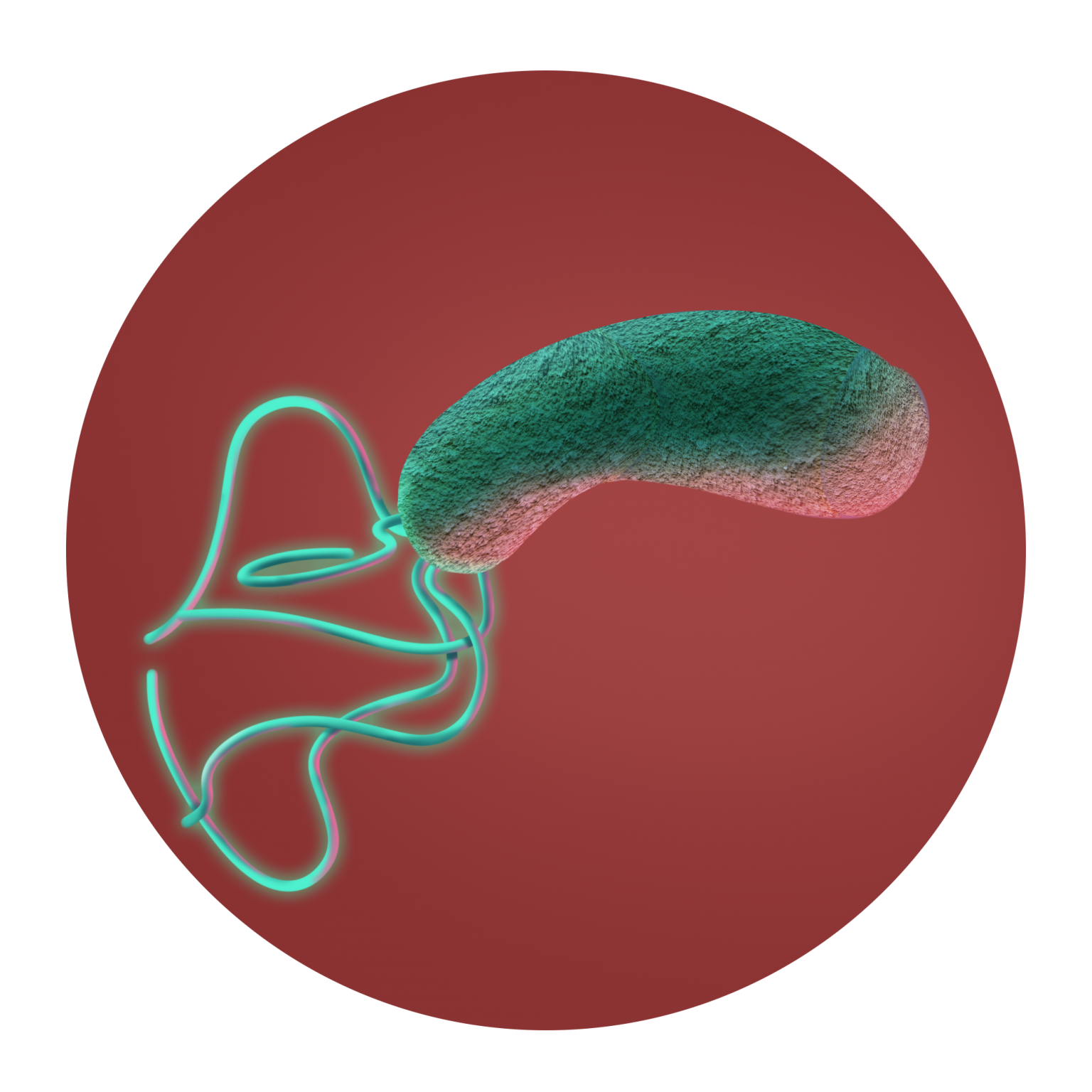 h-pylori